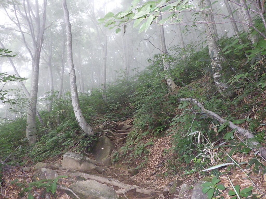 巻機山　井戸尾根コース