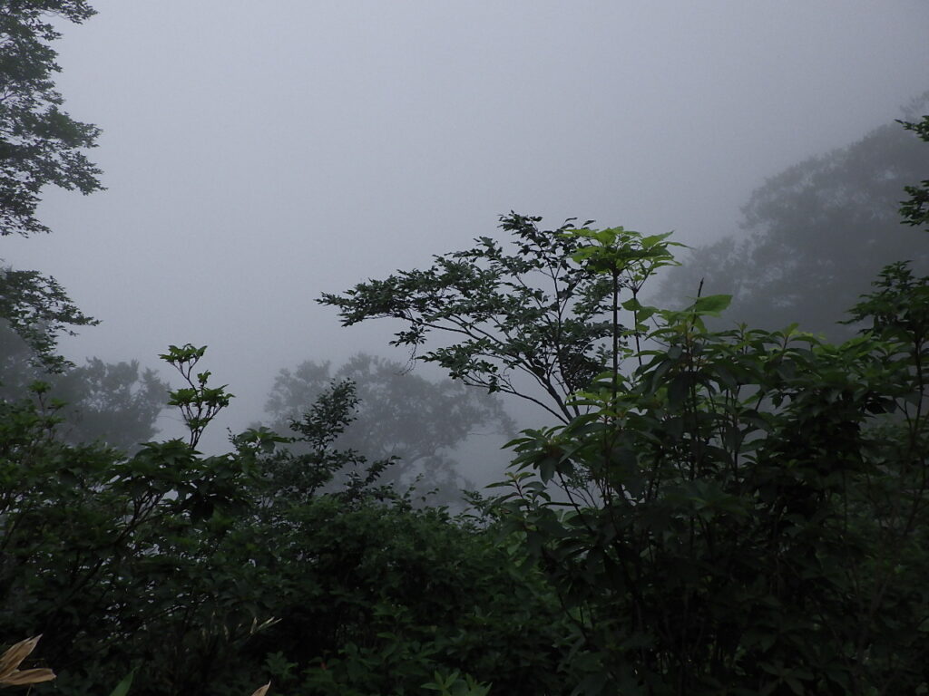 巻機山　井戸尾根コース