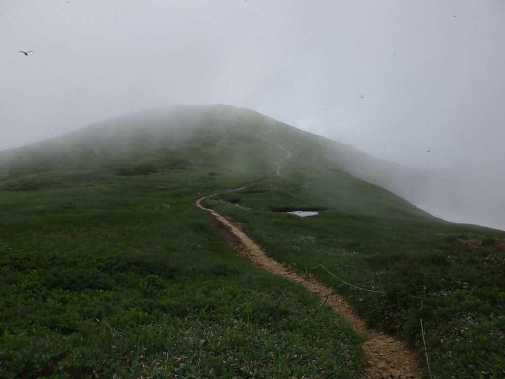 巻機山最高地点