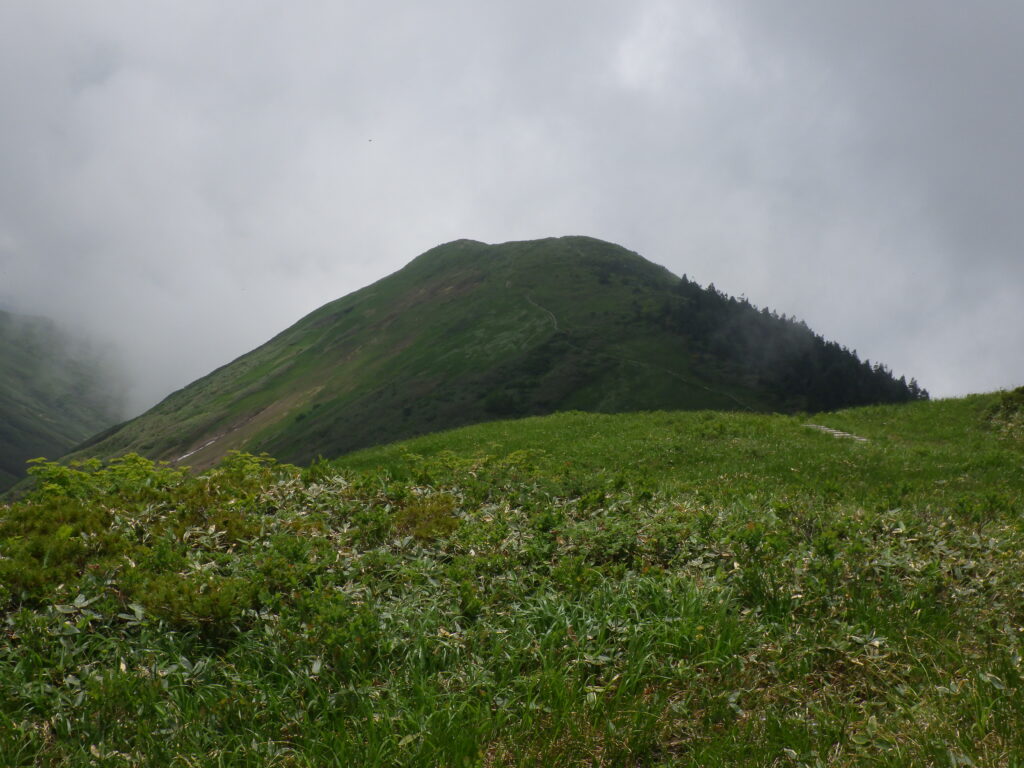 ニセ巻機山