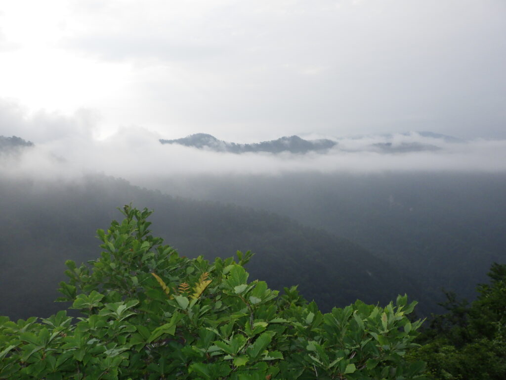 大白川登山口からの守門岳登山
