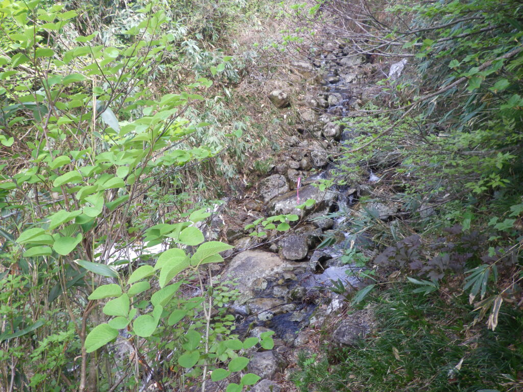 大白川登山口からの守門岳登山