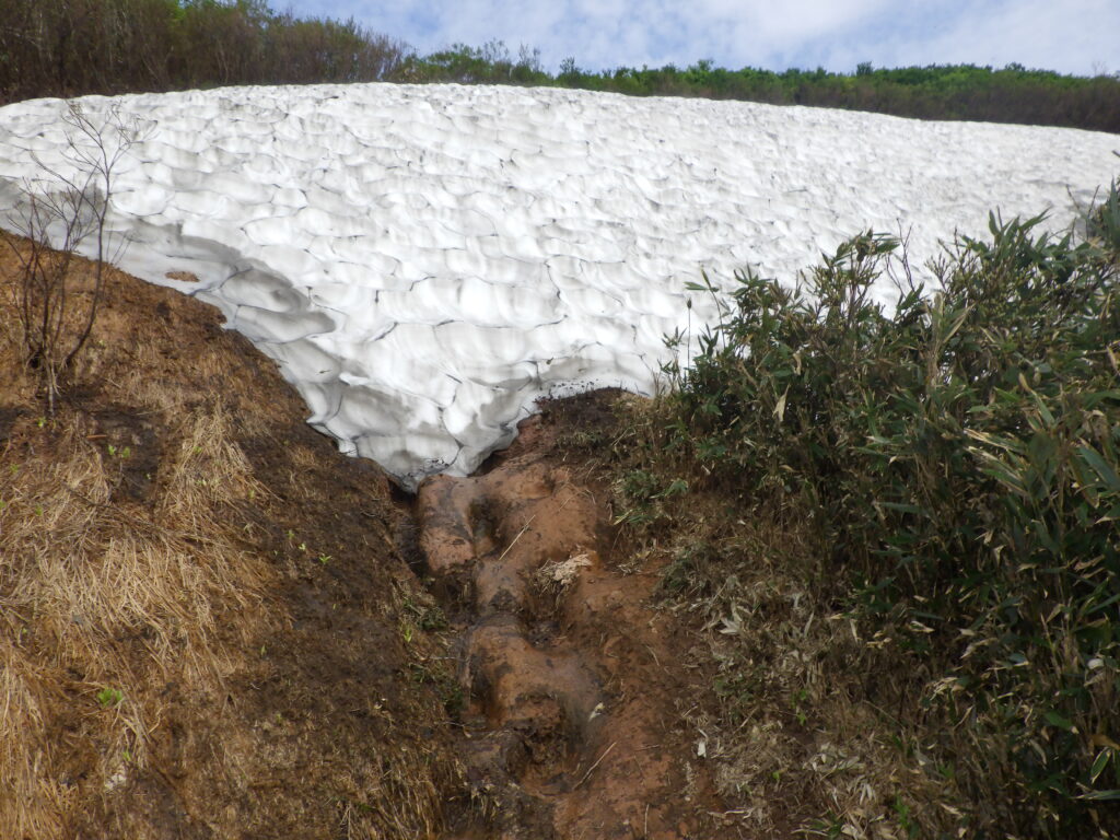 大白川登山口からの守門岳登山