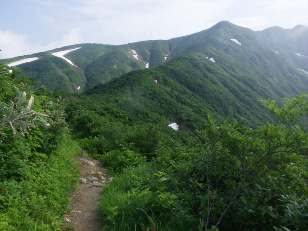 大白川登山口からの守門岳登山