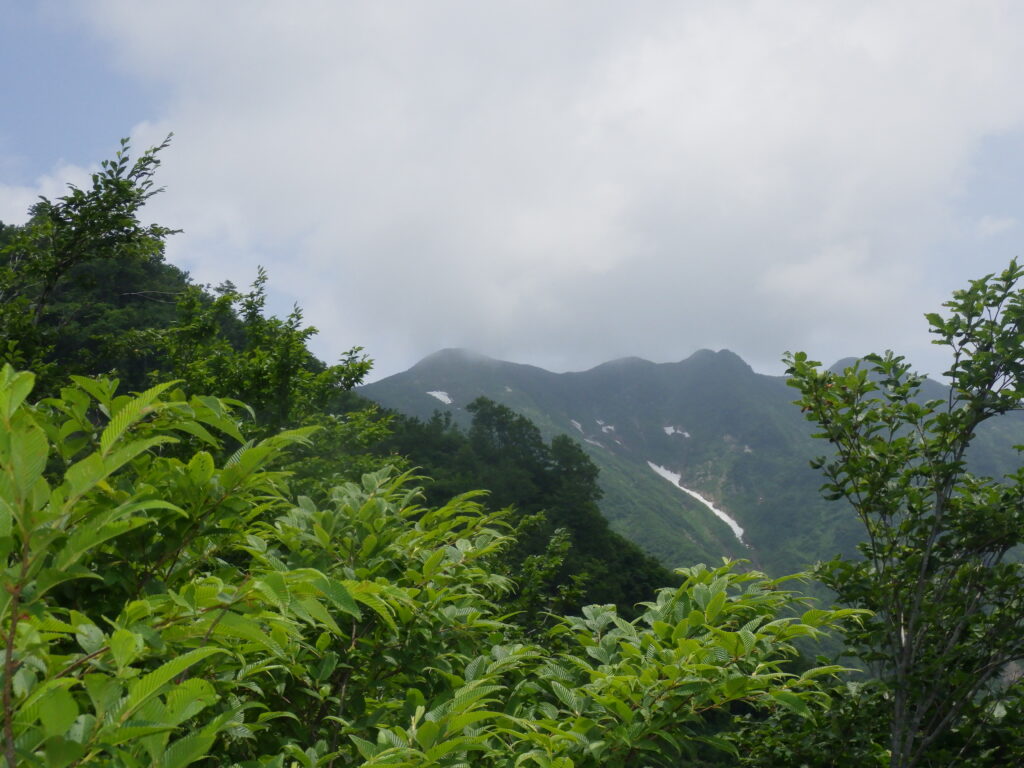 大白川登山口からの守門岳登山