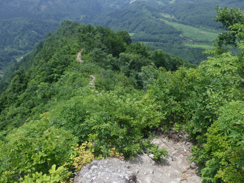 大白川登山口からの守門岳登山