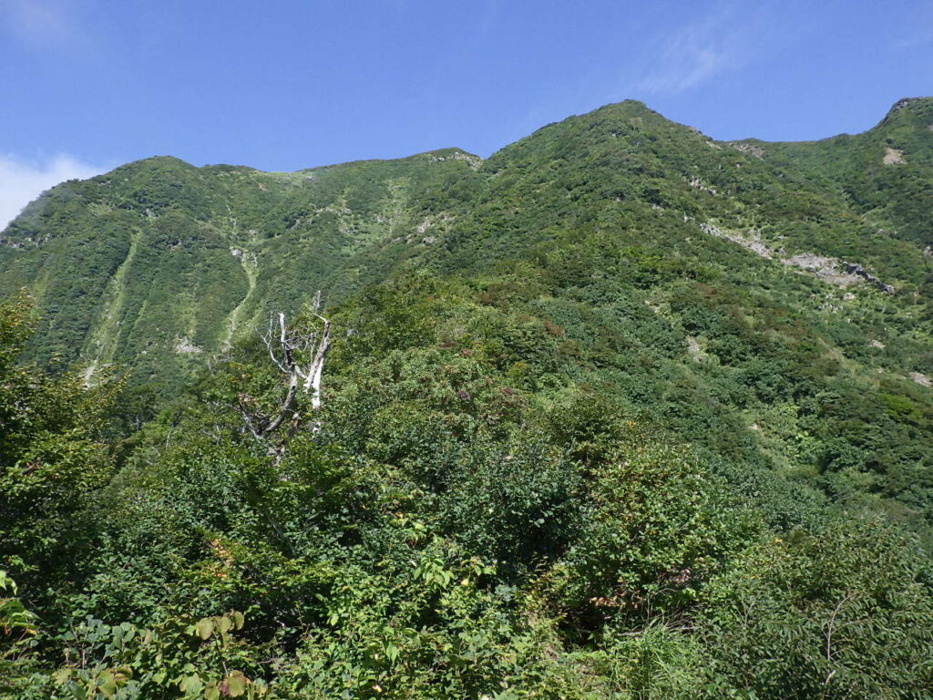 浅草岳