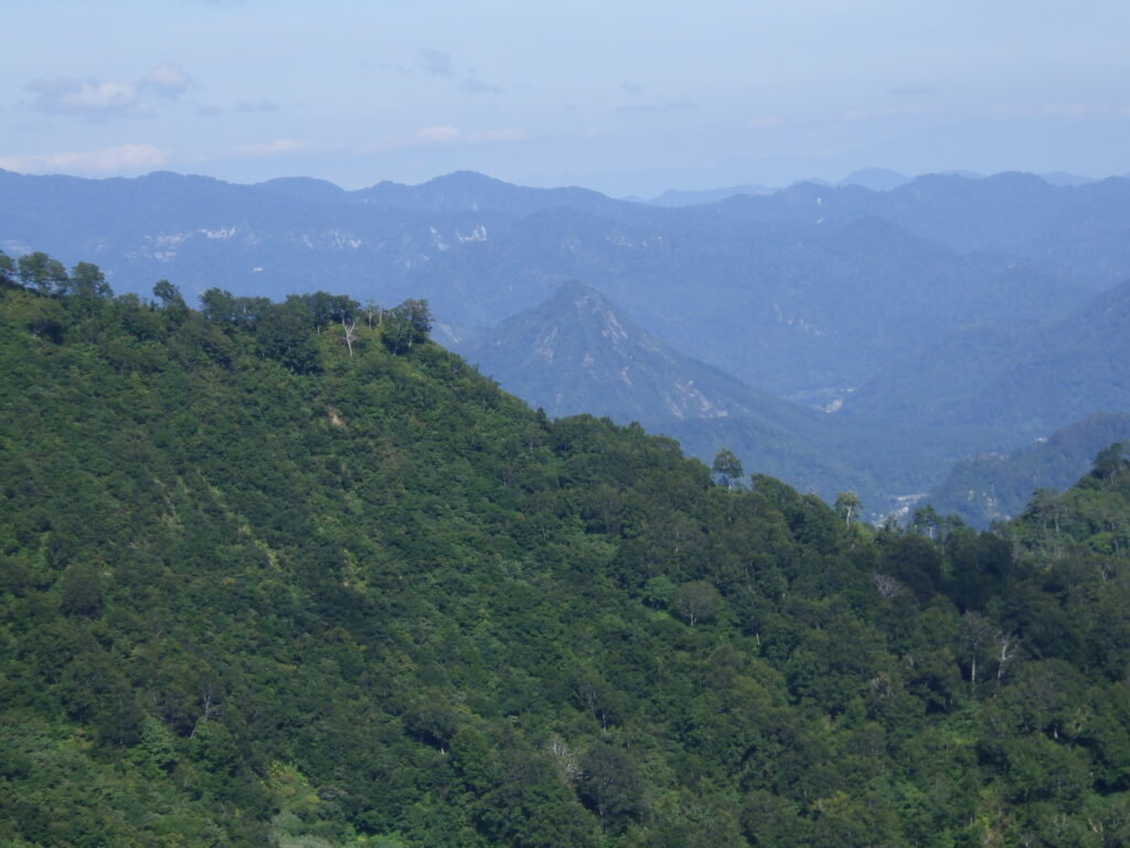 蒲生岳（828ｍ）