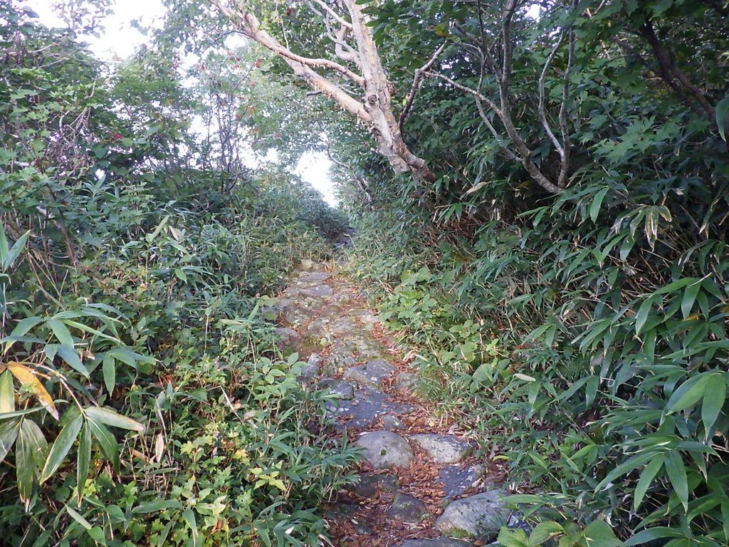 鳥海山登山